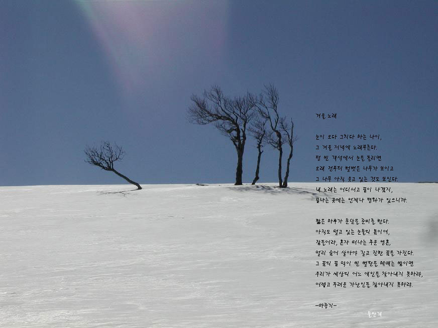 나무그늘 이미지