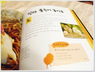 플러스닭 이미지
