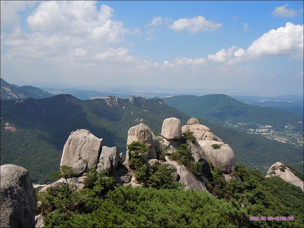 신세화마트 이미지