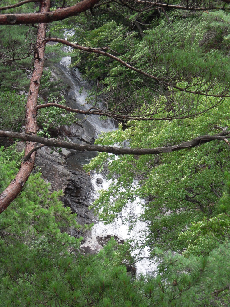 산골산내음 이미지