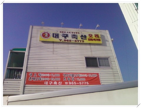 싱싱오리 이미지