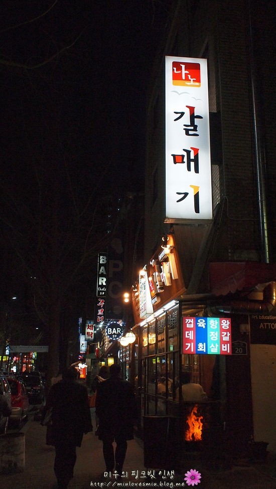 나노갈매기 이미지