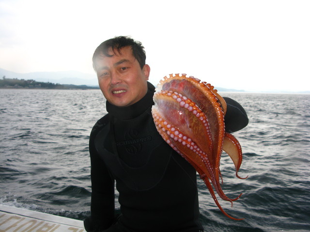 백상어다이빙 리조트 이미지