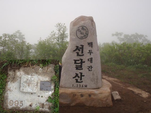 솔벗 이미지