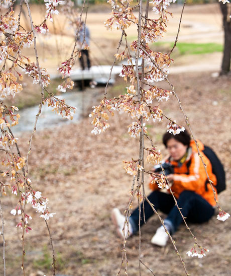 삼진사 이미지
