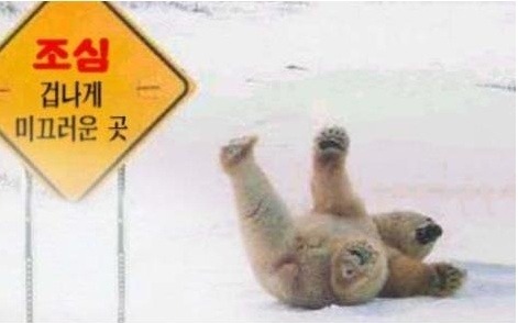 미련곰탱이 이미지