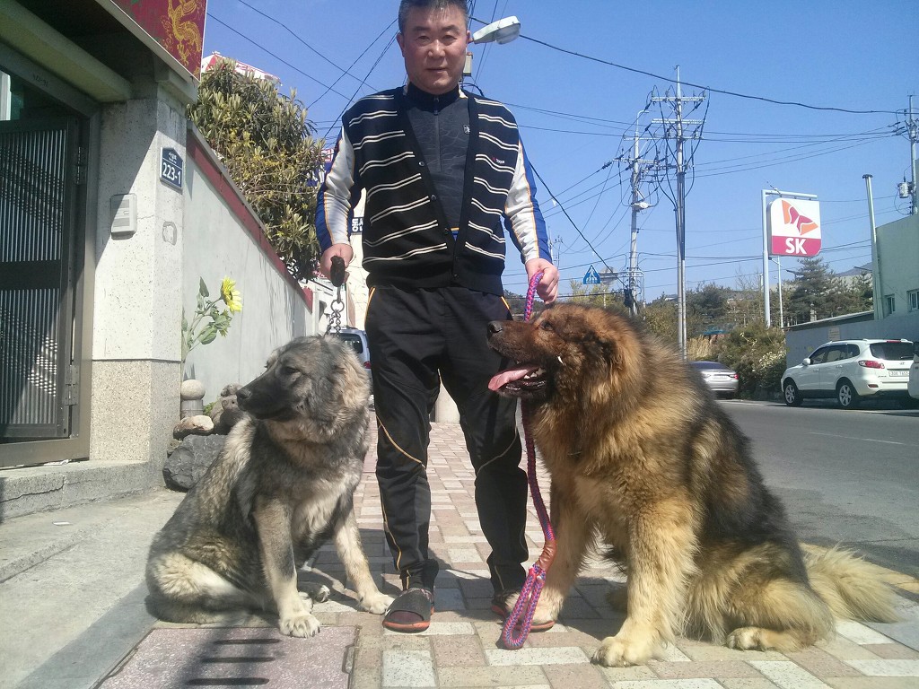 강토 이미지