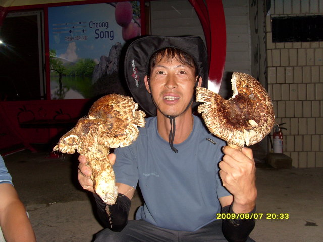 청송수퍼 이미지