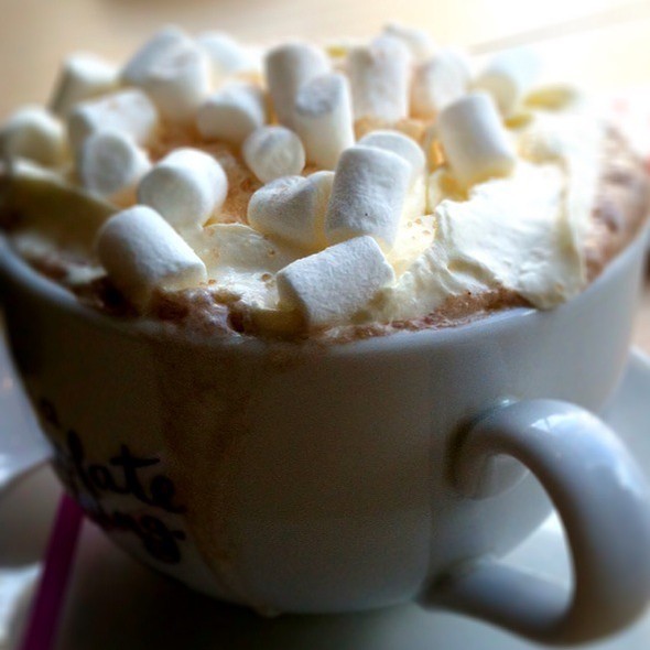 은둔돼지들 환장하게 만드는 퓨전음료 두개.jpg | 인스티즈