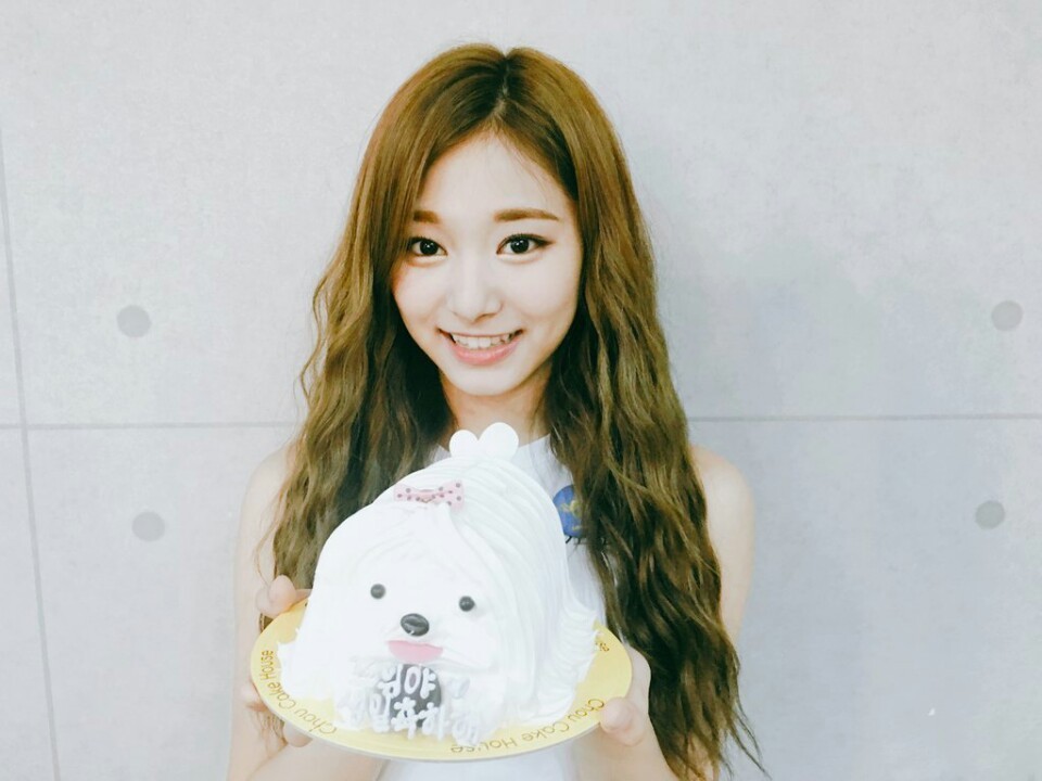 [트와이스] 오늘 생일이라는 쯔위 레전드사진 모음 | 인스티즈