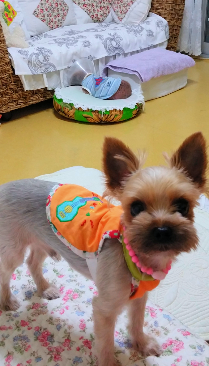 우짜꼬 이미지