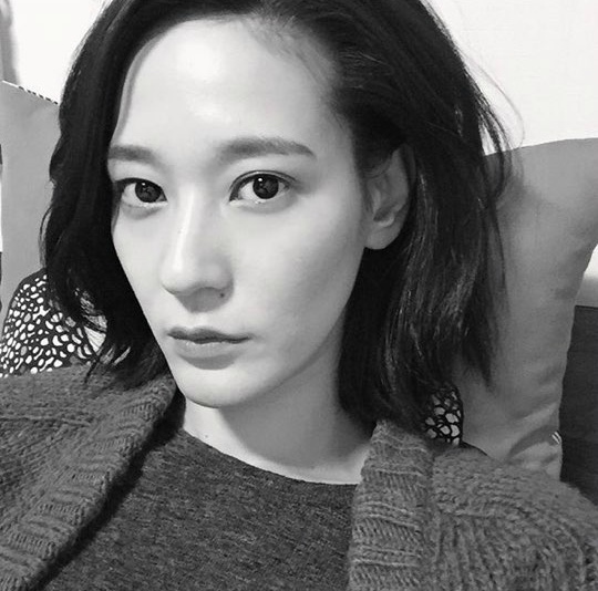 크리스탈 안닮은 모델 이영진 | 인스티즈