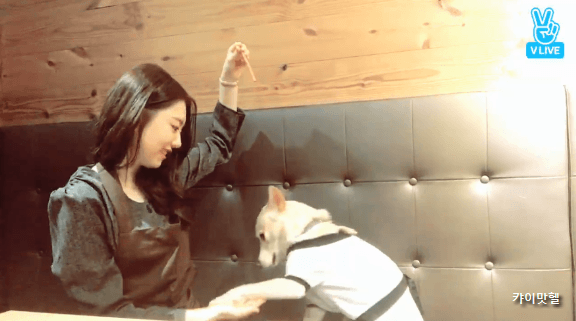 오늘자 소혜 브이앱 움짤.gif (데이터주의) | 인스티즈