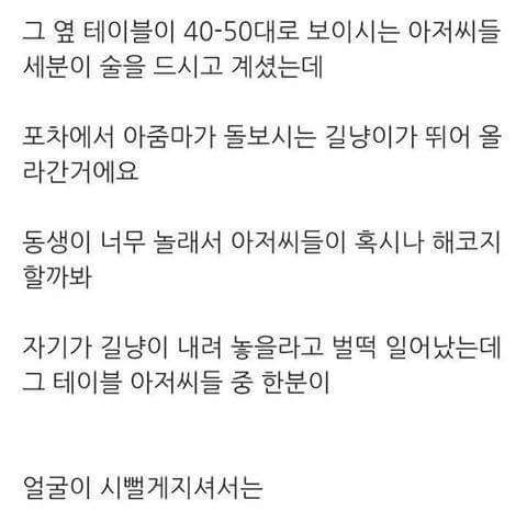 츤츤 아저씨의 고양이 사랑 | 인스티즈