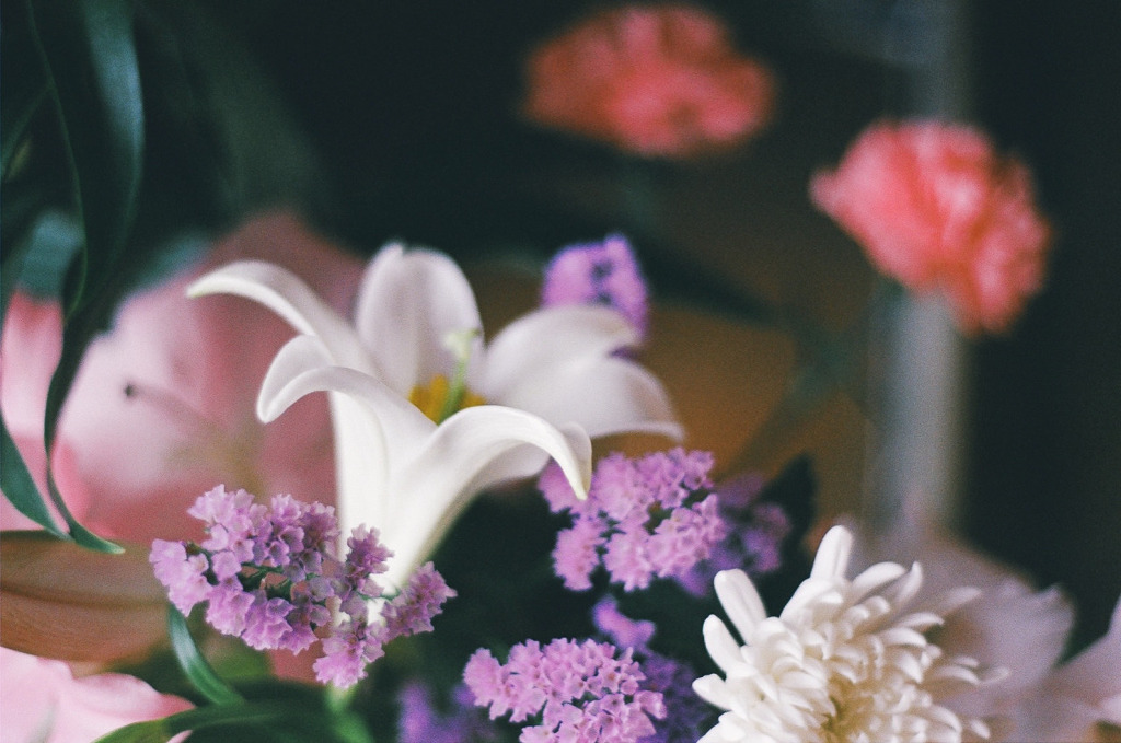  첫사랑을 오랫동안 잊지 못하는 이유 | 인스티즈