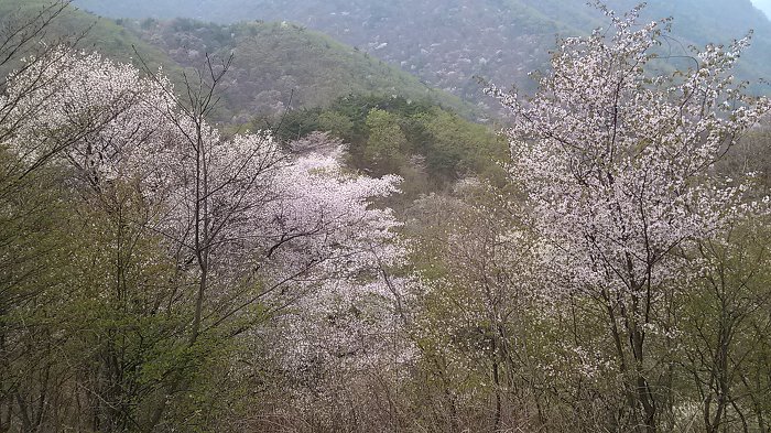 인삼당한의원 이미지