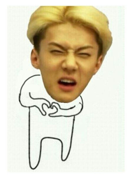 일랑 이미지