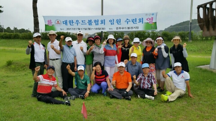 대한우드볼협회 이미지