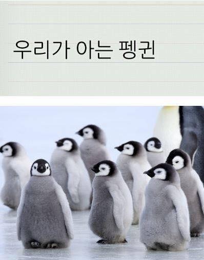 당신이 아는 펭귄은 본 모습이 아니다!! | 인스티즈