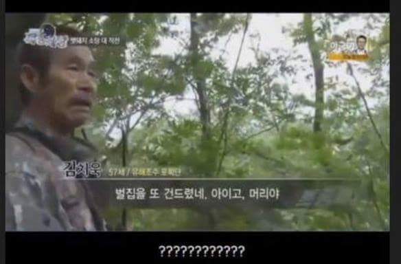 맷돼지 전문 사냥개의 위엄.jpg | 인스티즈