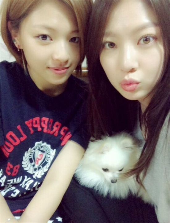 친자매인 여자연예인들 | 인스티즈