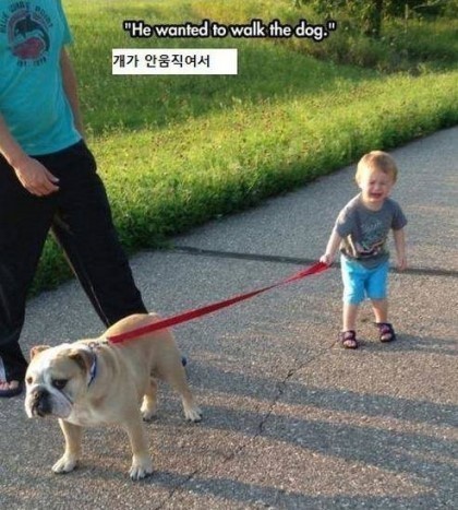 아기들이 우는 이유 | 인스티즈