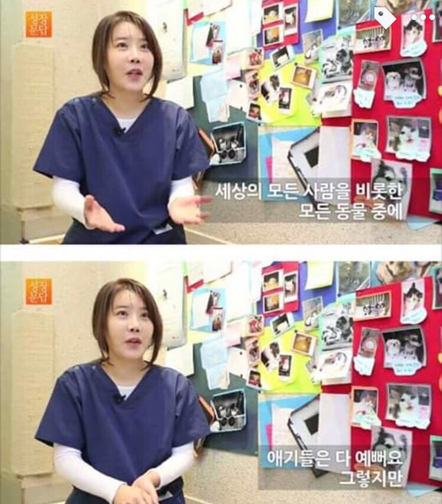 강아지나 고양이를 키우려는 사람들에게 | 인스티즈
