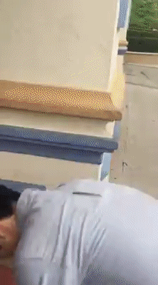에버랜드알바생꼬시는방법 | 인스티즈