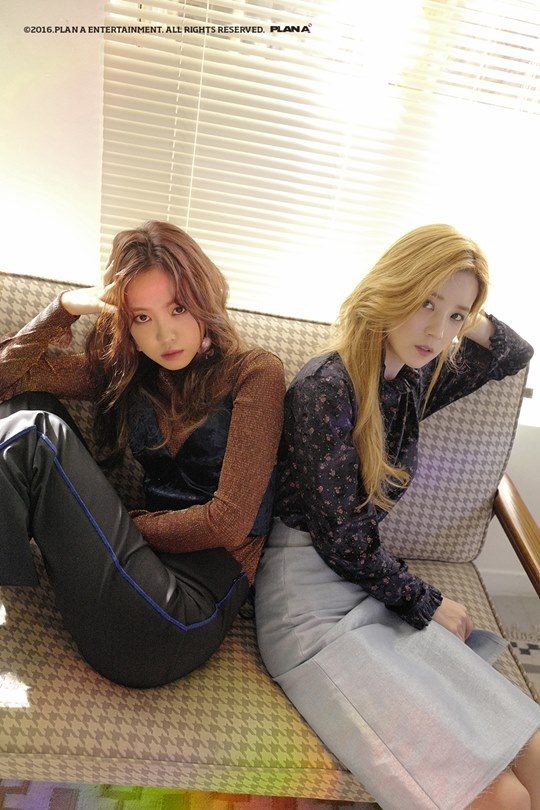 플랜에이가 일을 하는군요.jpg | 인스티즈