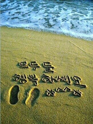 희나리 이미지