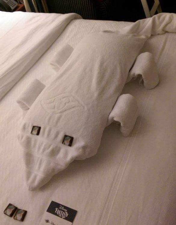 21519F3B55246CC4244B66