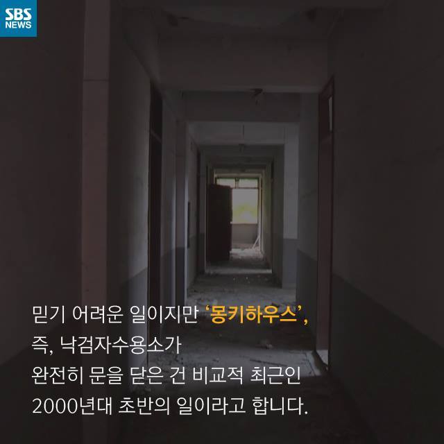  우리는 원숭이가 아닙니다 | 인스티즈