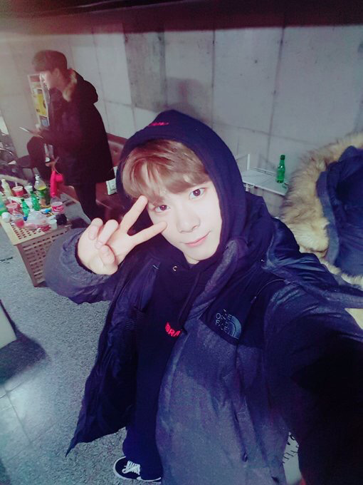 달콩 이미지