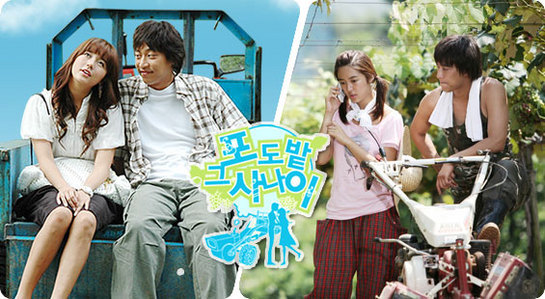 개인적으로 여름이면 생각나는 드라마 甲 | 인스티즈