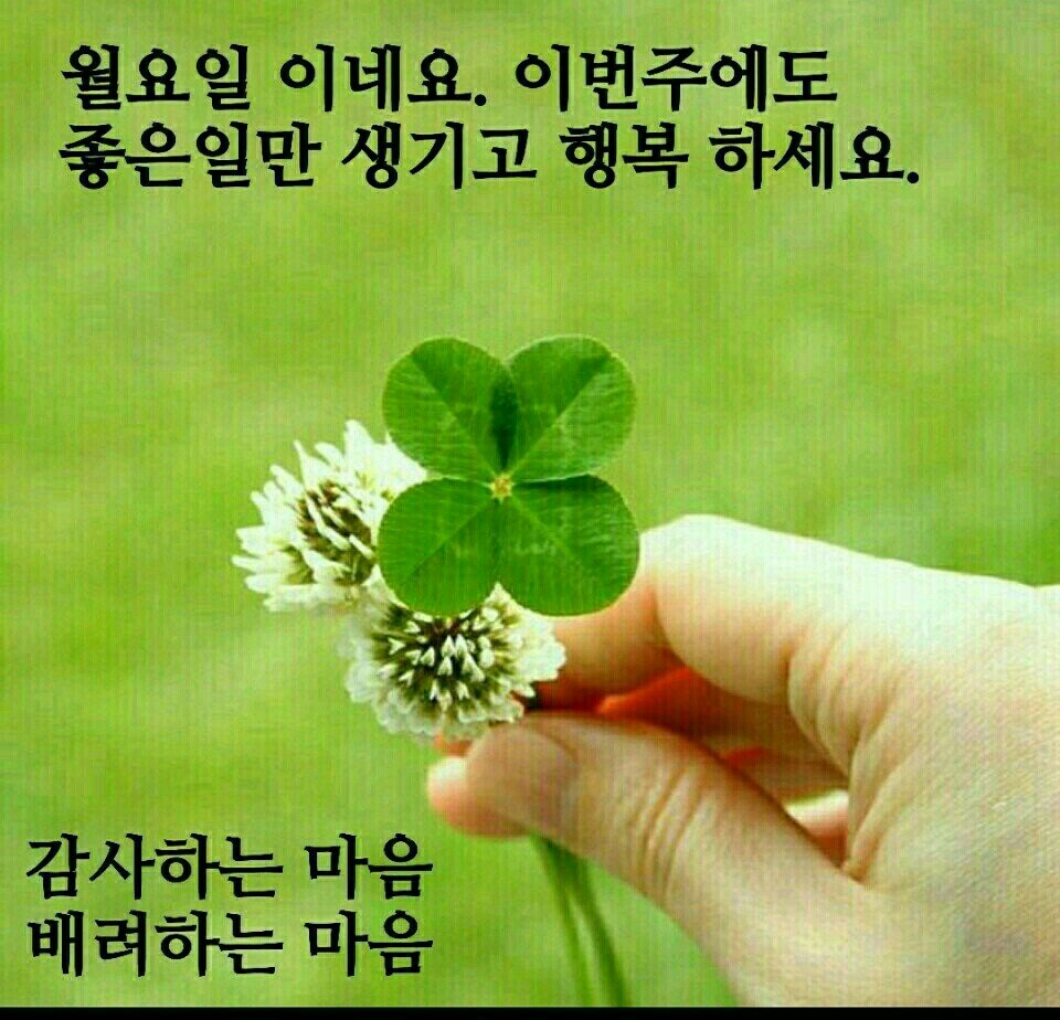 오시네 이미지