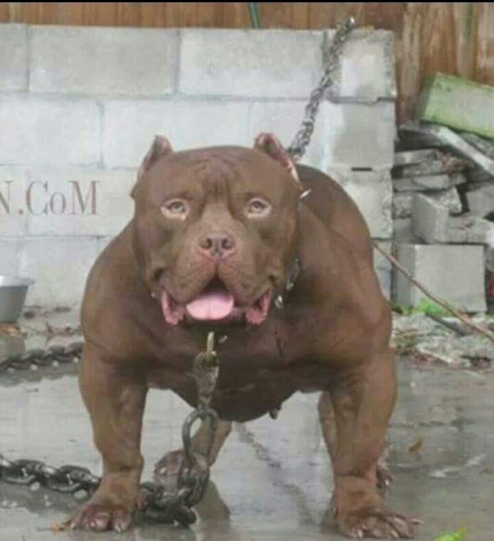 덩어리 이미지