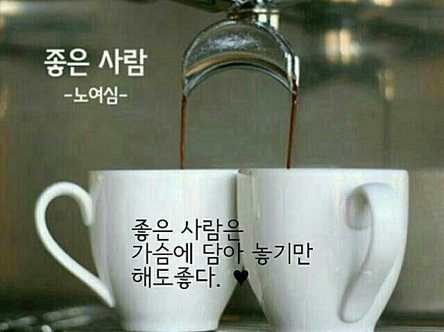 나무소리 이미지