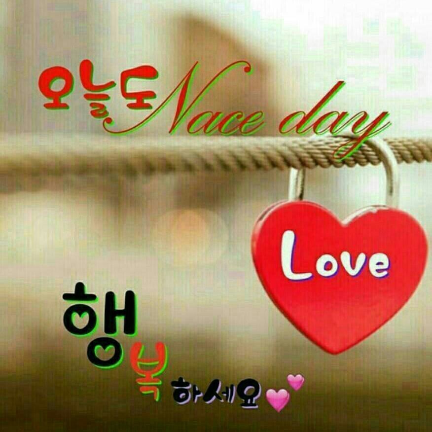 심수 이미지