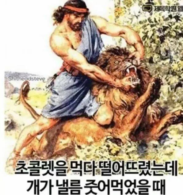 개키우면 공감하는 순간 | 인스티즈