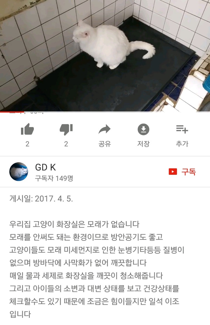 가정집 고양이공장같은 애니머호더 유튜버 봐줘라 | 인스티즈