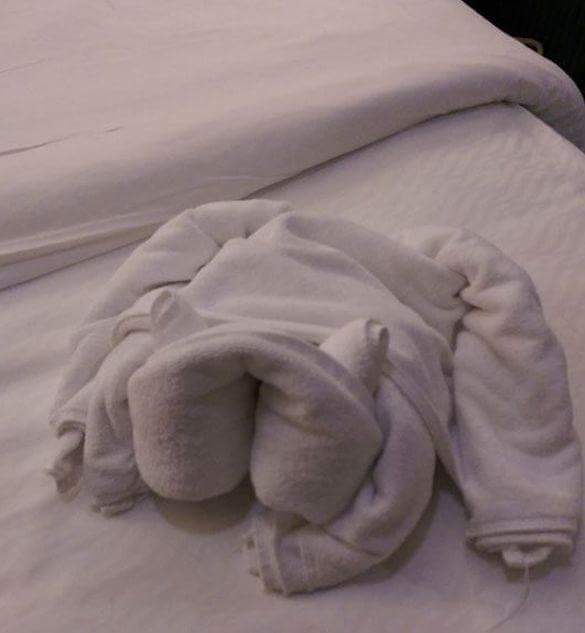 2207353C55246CC31720A5