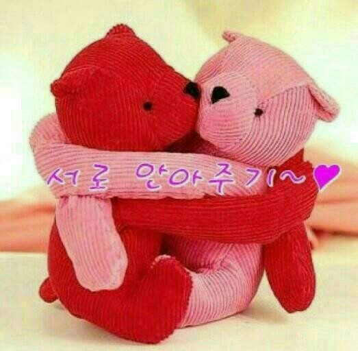 풀향 이미지