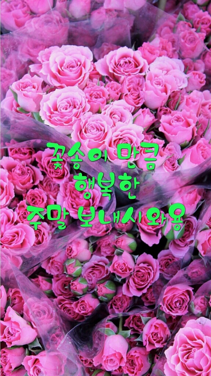 보노보스튜디오 이미지