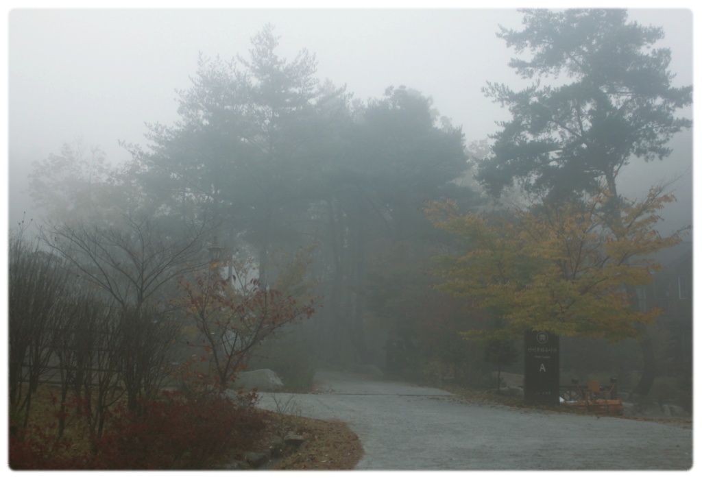 용화산자연휴양림 이미지