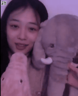 일관성이 있는 설리 | 인스티즈