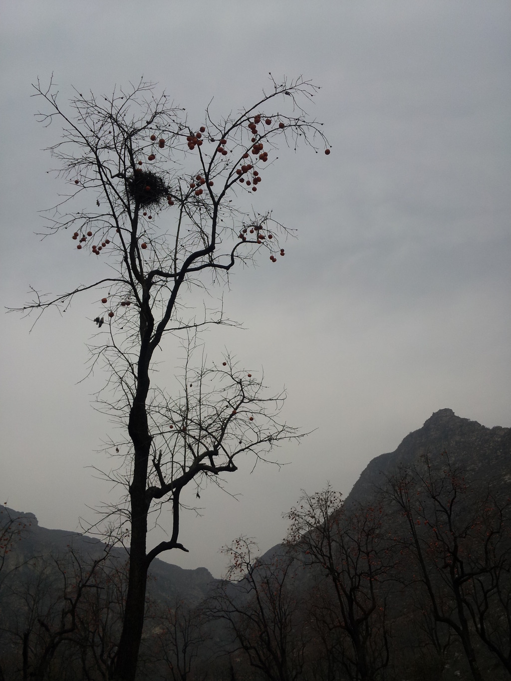 삼황 이미지