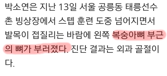 그 많은 대학생 선수들은 다 어디로 갔나 | 인스티즈