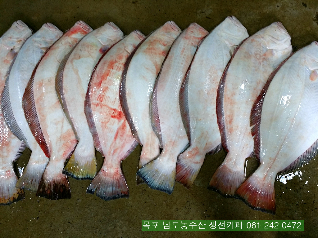 보교기획 이미지