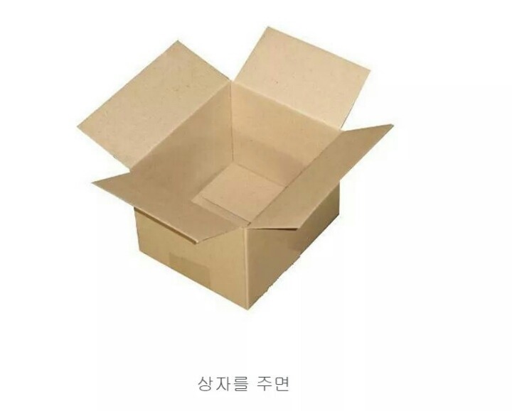 숨길수없는 고양이과의 본능 | 인스티즈