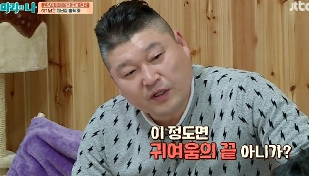 [마리와나] 뚱보냥 호동이 다이어트 시키기 (feat.먼지) | 인스티즈